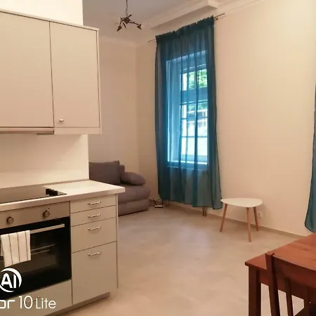 Apartment Apartman U Radnice *